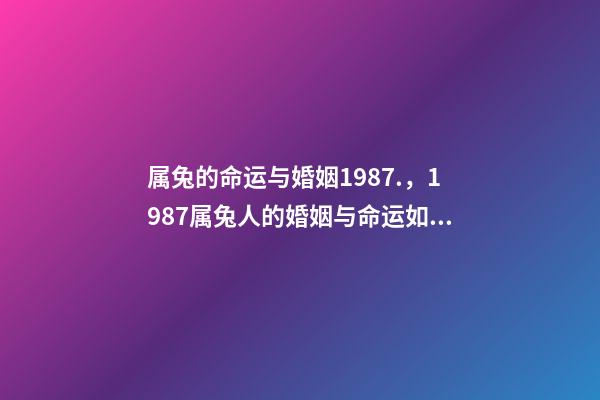 属兔的命运与婚姻1987.，1987属兔人的婚姻与命运如何 87年属兔35岁2022婚姻